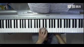 成人钢琴速成小强视频